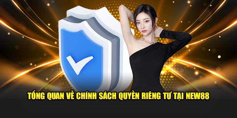 Tổng quan về chính sách quyền riêng tư New88
