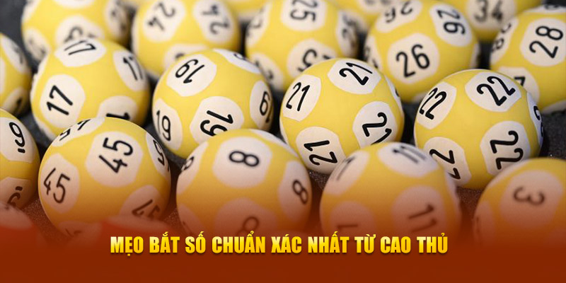 Mẹo bắt số chuẩn xác nhất từ cao thủ