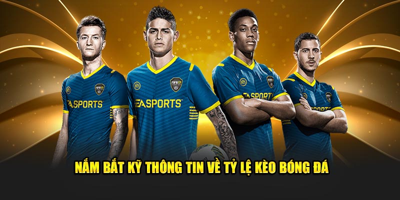 Nắm bắt kỹ thông tin về tỷ lệ kèo bóng đá